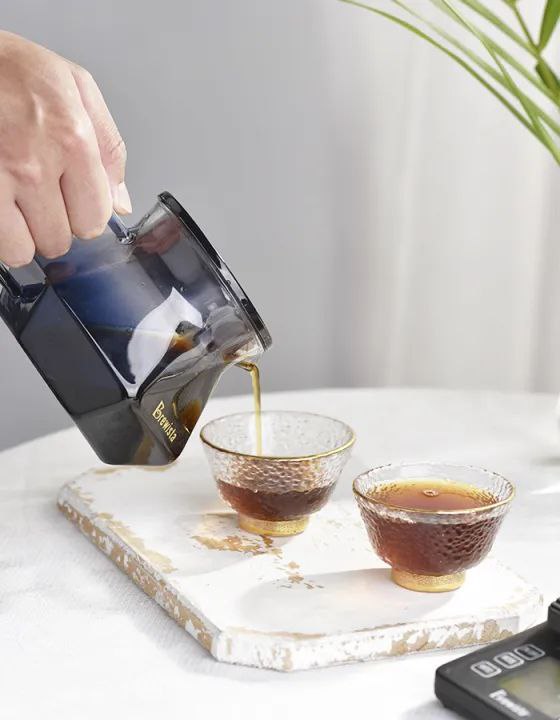 سرور V60 برویستا سری ایکس |  BREWISTA GLASS SERVER Xseries