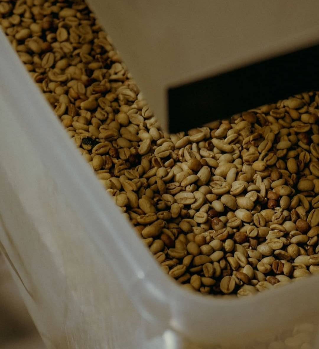 دانه قهوه تخصصی کلمبیا | LUSSO Colvara