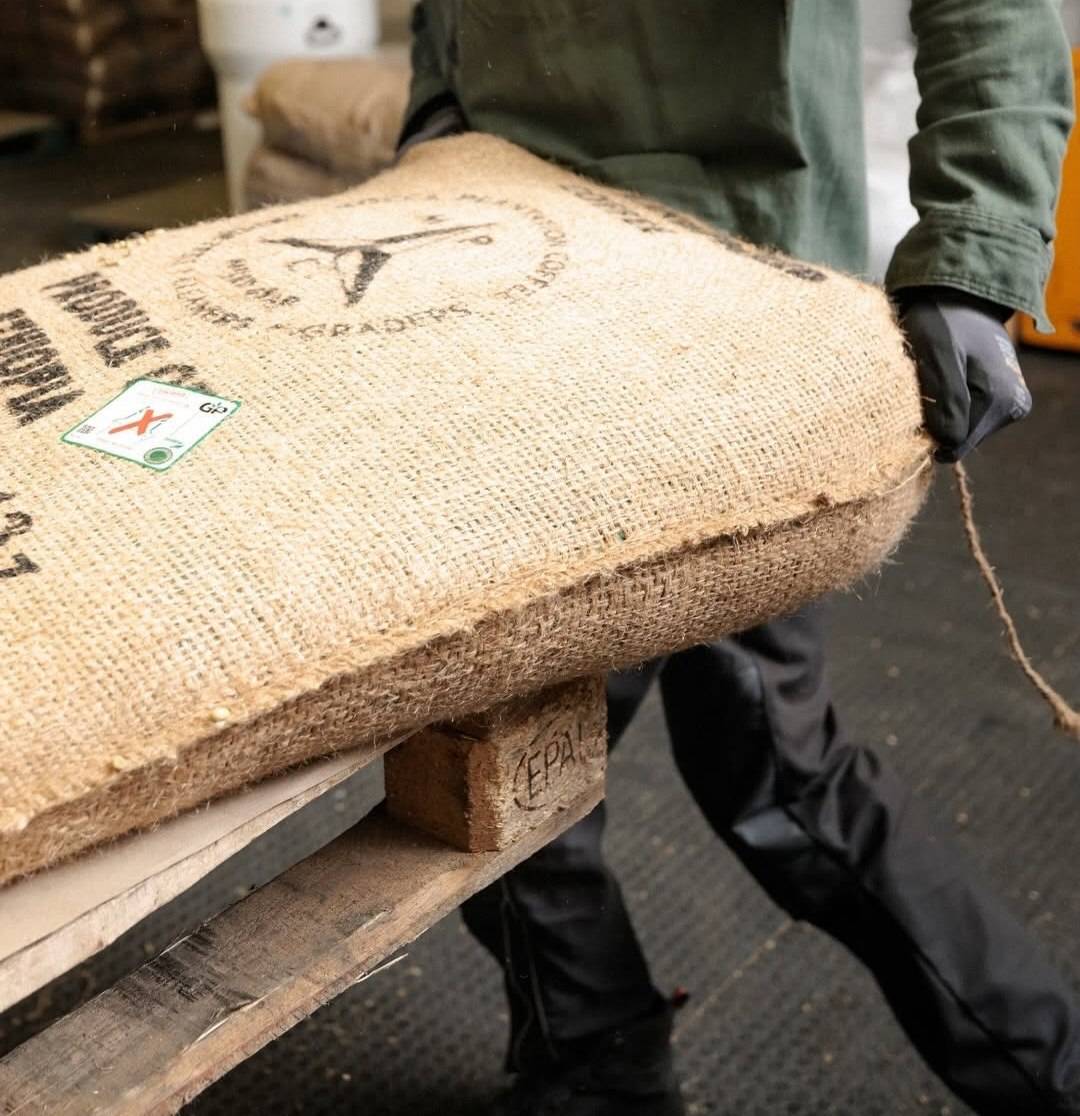 دانه قهوه تخصصی روبوستا اندونزی | LUSSO