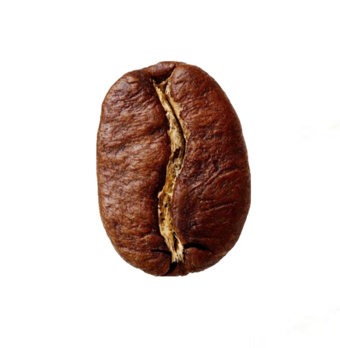 قهوه عربیکا